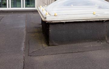disadvantages of Friday Hill flat roofs