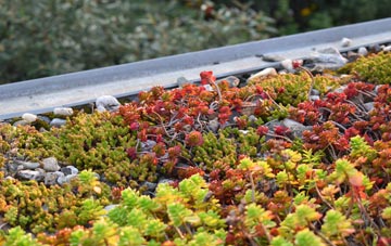 the cost of Friday Hill green roof installation