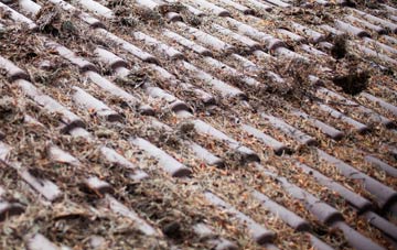 Friday Hill roof cleaning companies