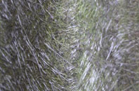 Friday Hill fibreglass roof work